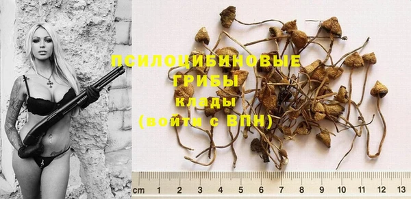apvp Верея