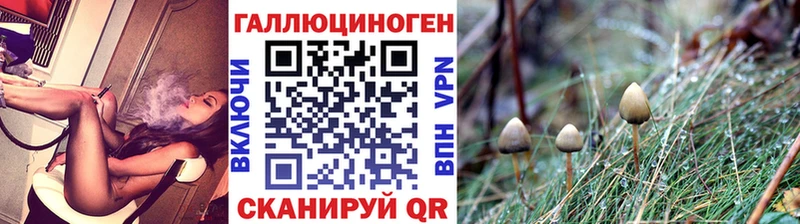 гидра рабочий сайт  Дагестанские Огни  Псилоцибиновые грибы Psilocybine cubensis 